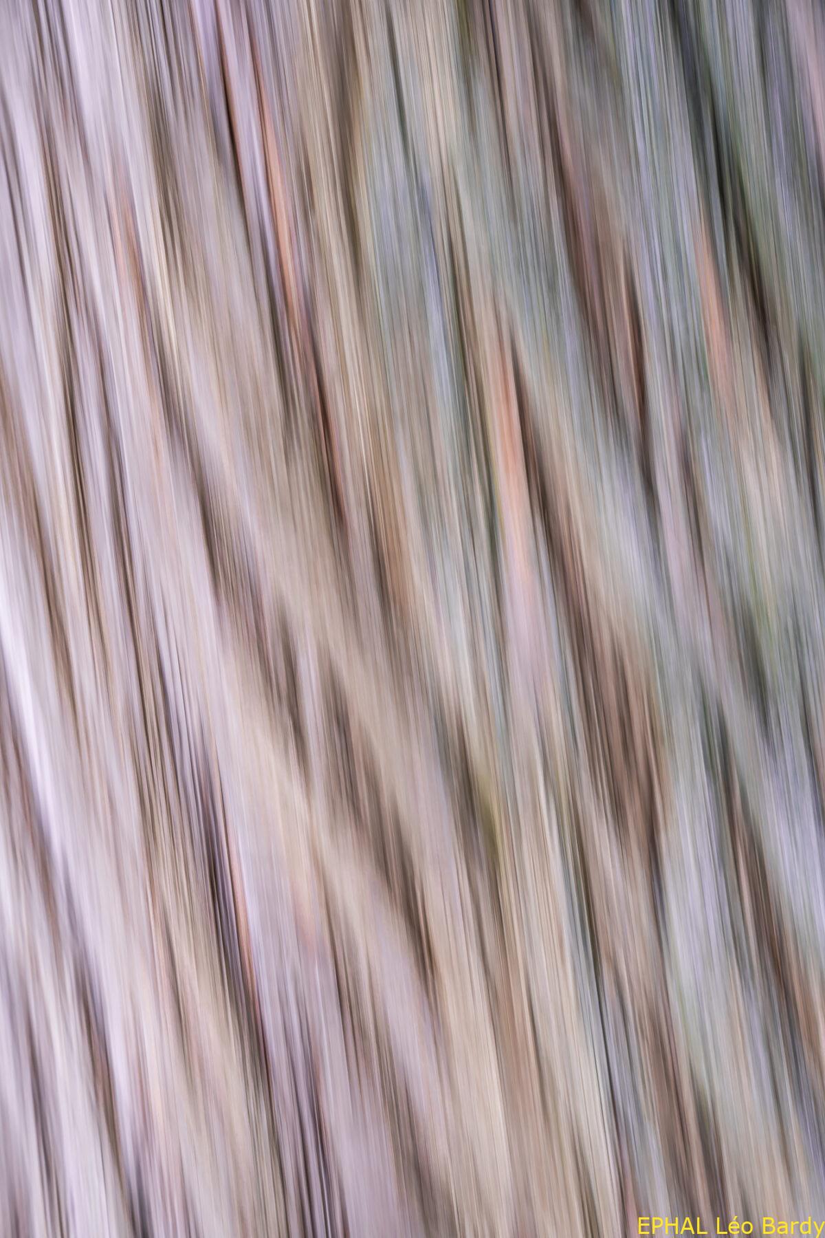 PhotoB3