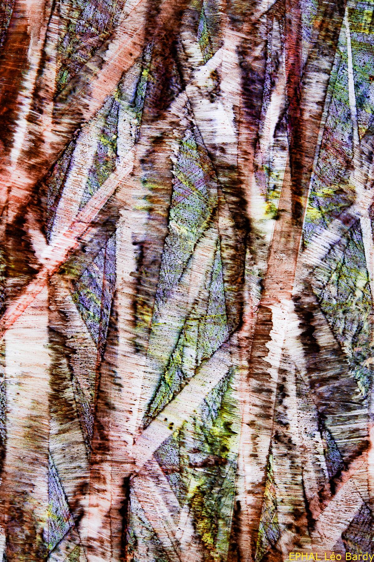 Peinture C6